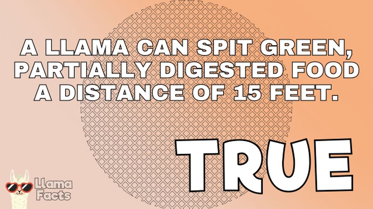 Llama Facts image number null